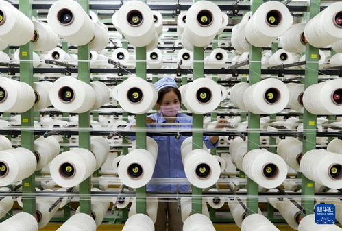 新华全媒 丨河南传统产业向“新”而行 以环保科技开辟转型新赛道